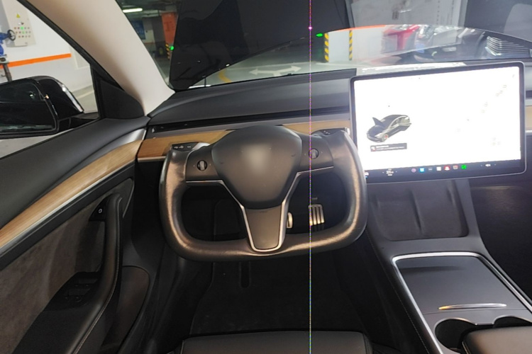 Tesla Model 3 2021 imagem de carro #11