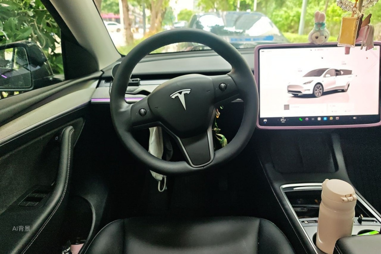 Tesla Model Y 2023 #12 Tesla Model Y 2023 car image #12