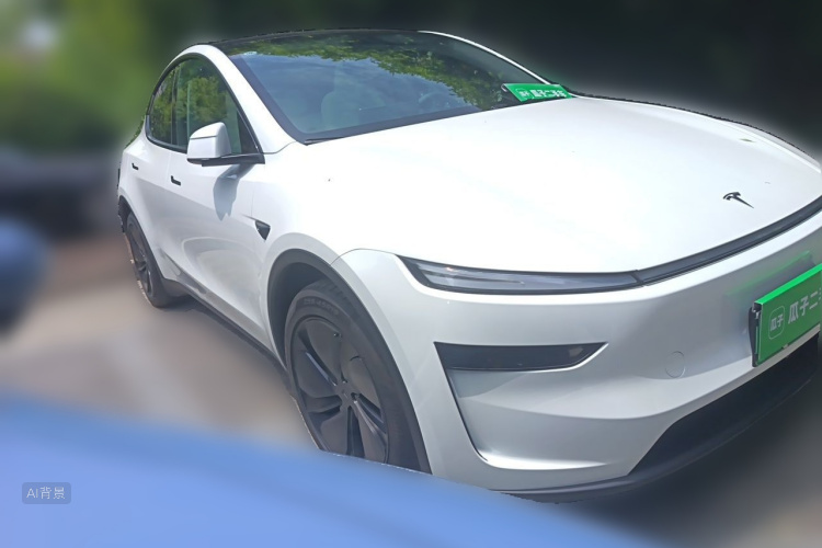 Tesla Model Y 2025 car image #4