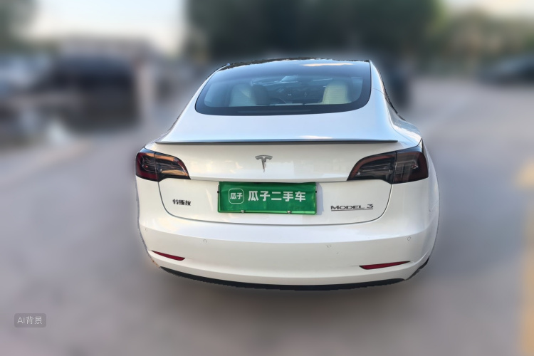 Tesla Model 3 2021 car image #6