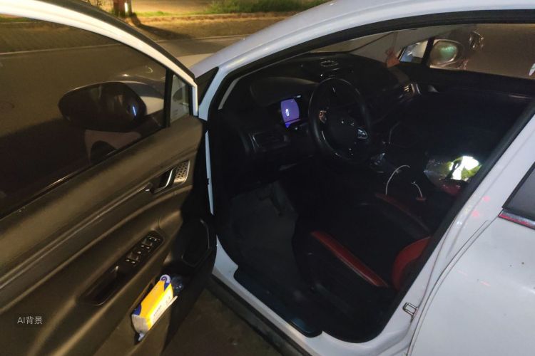 GEELY Emgrand GS 2020 car image #18
