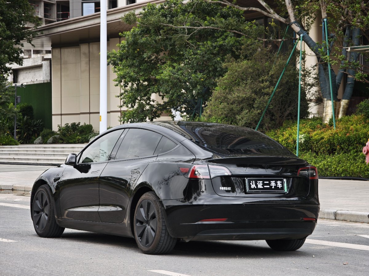 Tesla Model 3 2020 #7 Tesla Model 3 2020 car image #7