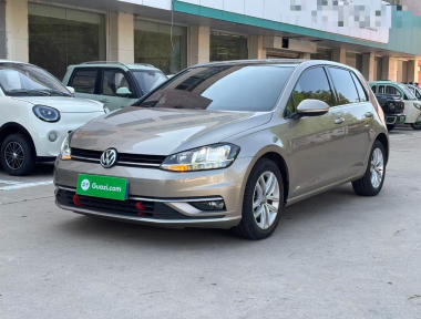 Volkswagen Golf 2019 Volkswagen Golf 2019 car image