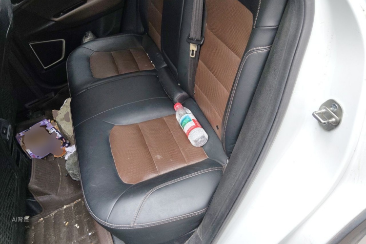 GEELY Emgrand GS 2017 car image #19