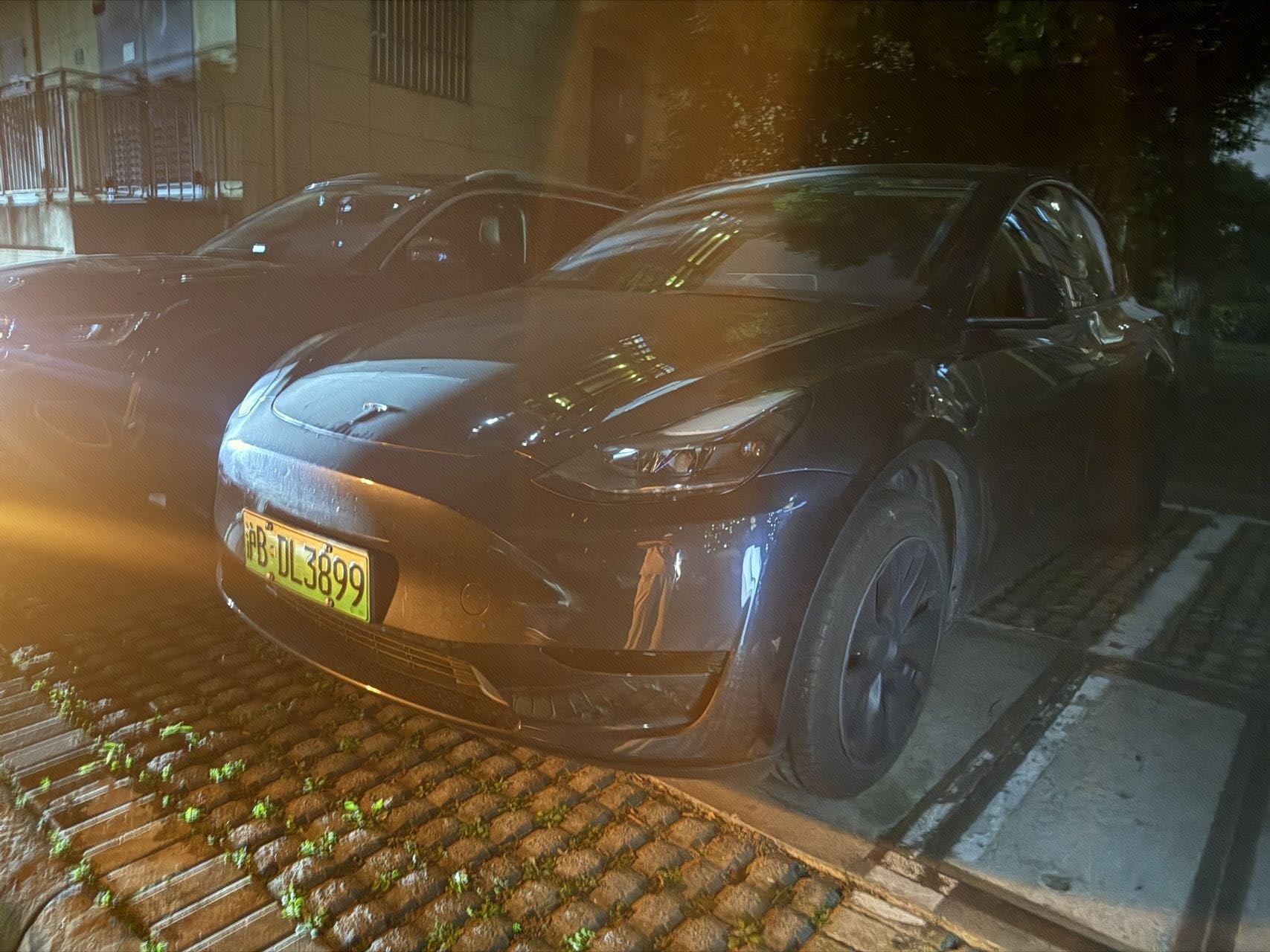 Tesla Model Y 2024 immagine di auto 
