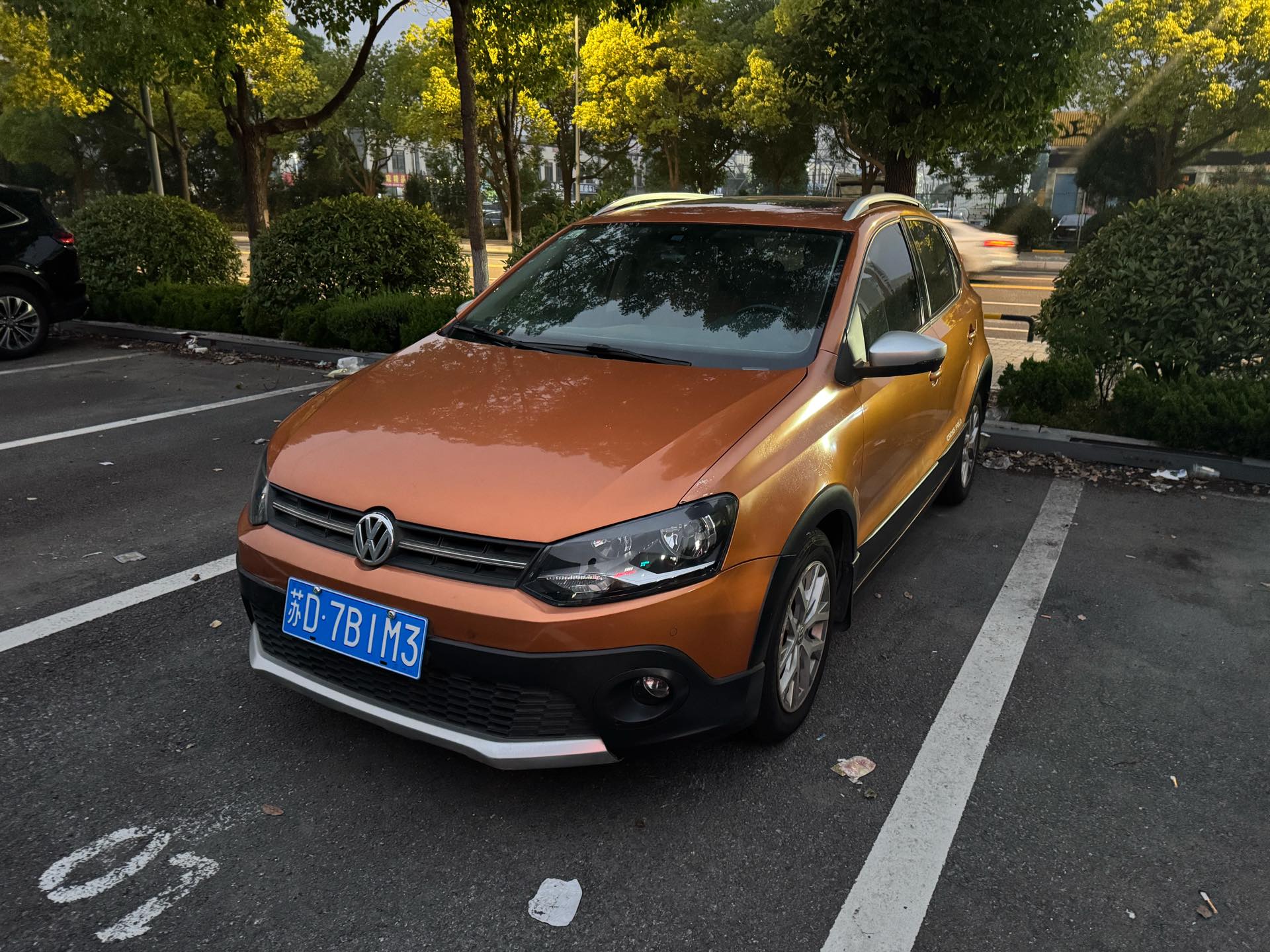 Volkswagen Polo 2015 Volkswagen Polo 2015 car image