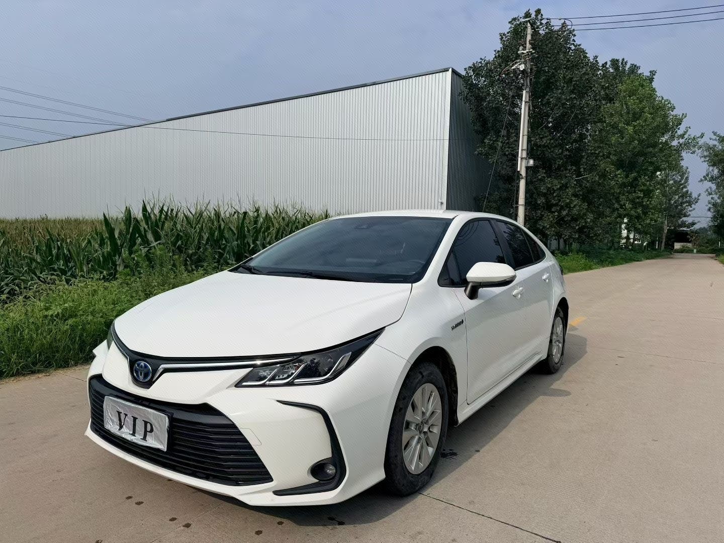 Toyota Corolla 2023 car image 
