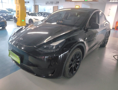 Tesla Model Y 2022 car image 