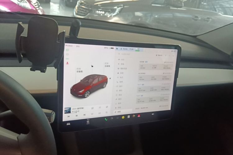 Tesla Model Y 2021 car image #13
