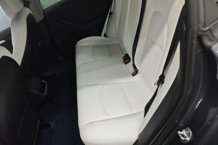 Tesla Model 3 2021 car image #17