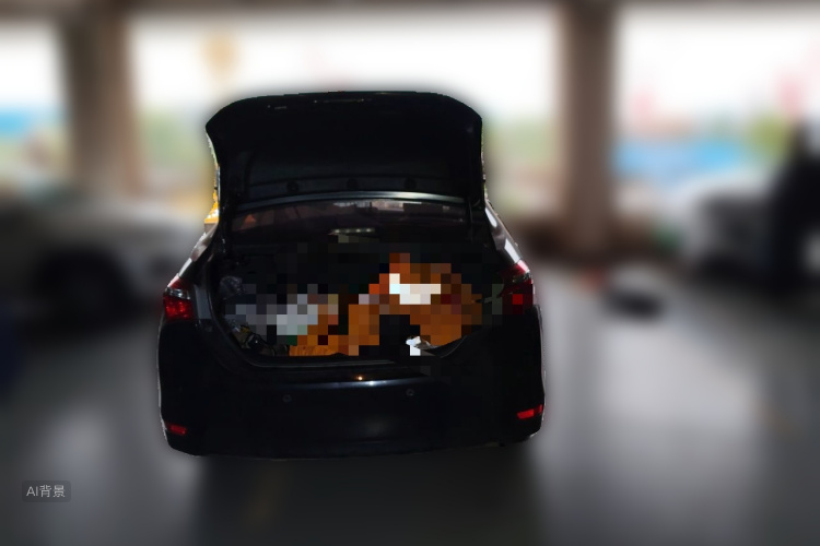 Toyota Corolla 2018 #21 Toyota Corolla 2018 car image #21
