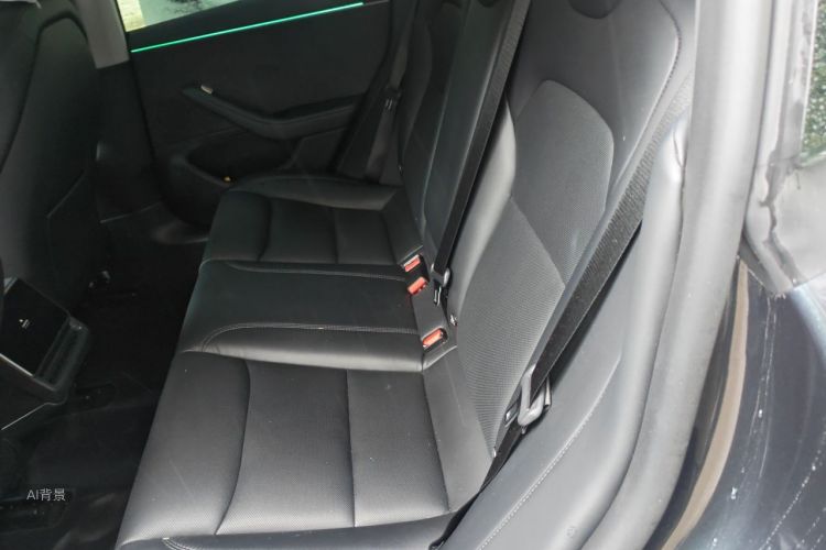 Tesla Model 3 2025 car image #19