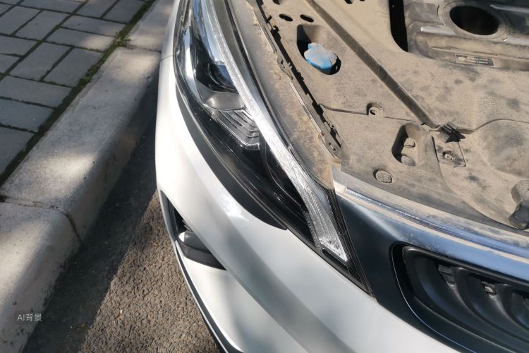 GEELY Emgrand GS 2020 car image #8
