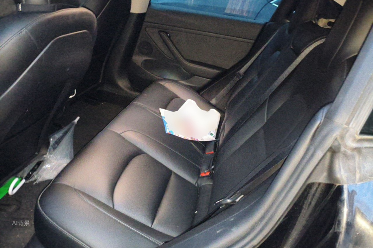 Tesla Model 3 2021 #19 Tesla Model 3 2021 صورة سيارة #19