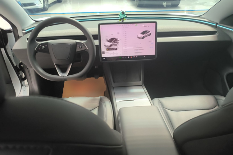 Tesla Model 3 2024 car image #11