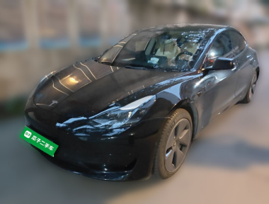 Tesla Model 3 2022 car image 