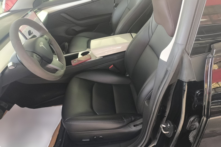 Tesla Model 3 2021 car image #19