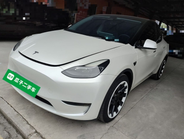 Tesla Model Y 2022 car image 