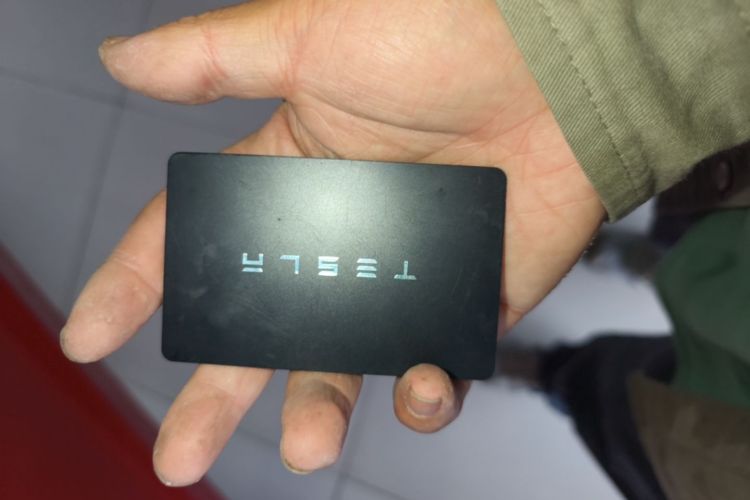 Tesla Model 3 2021 immagine di auto #9