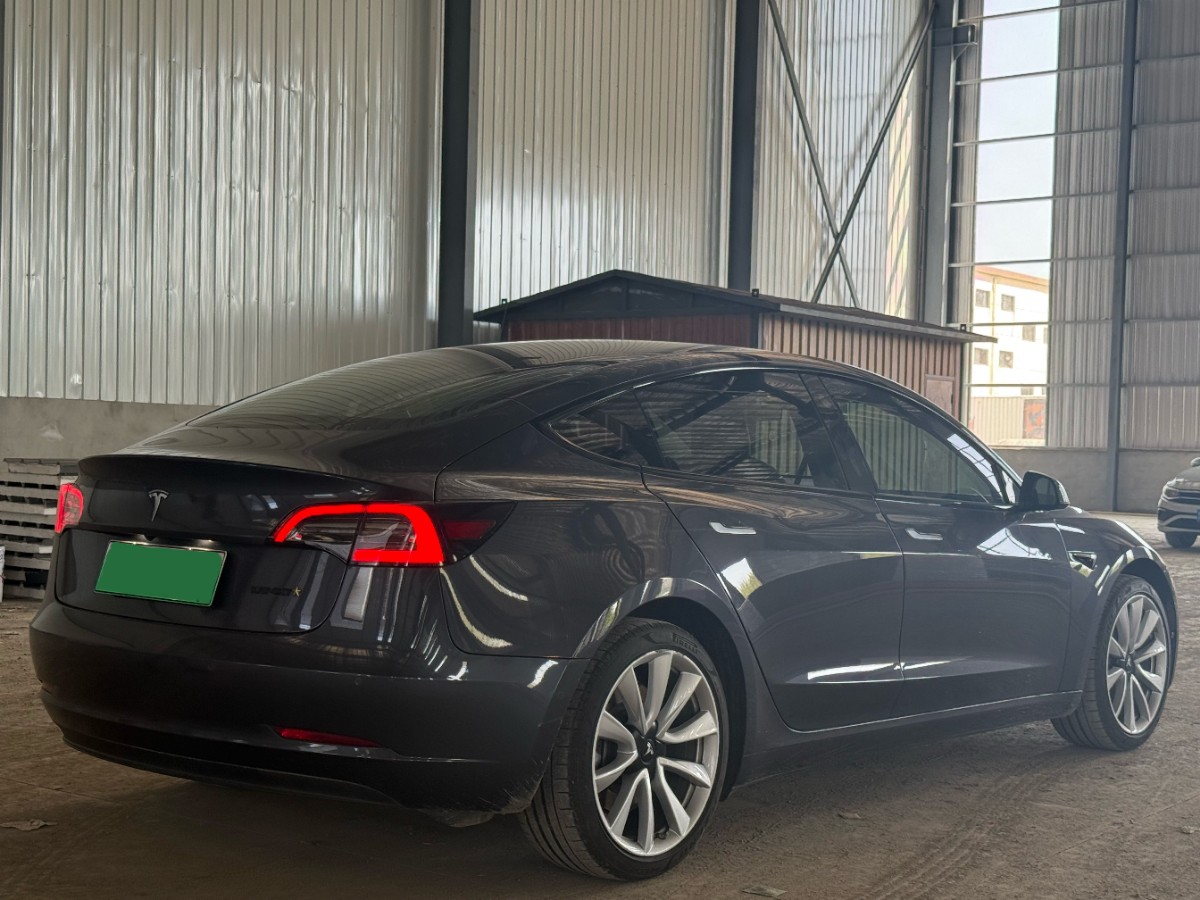 Tesla Model 3 2020 car image #6