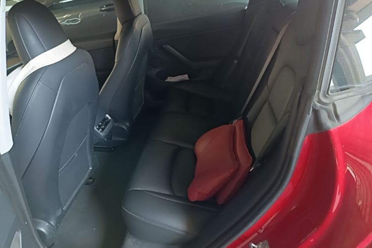 Tesla Model 3 2021 car image #17