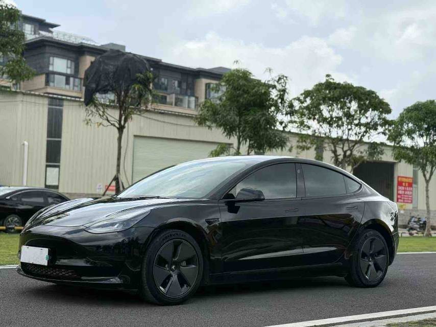 Tesla Model 3 2021 Tesla Model 3 2021 car image