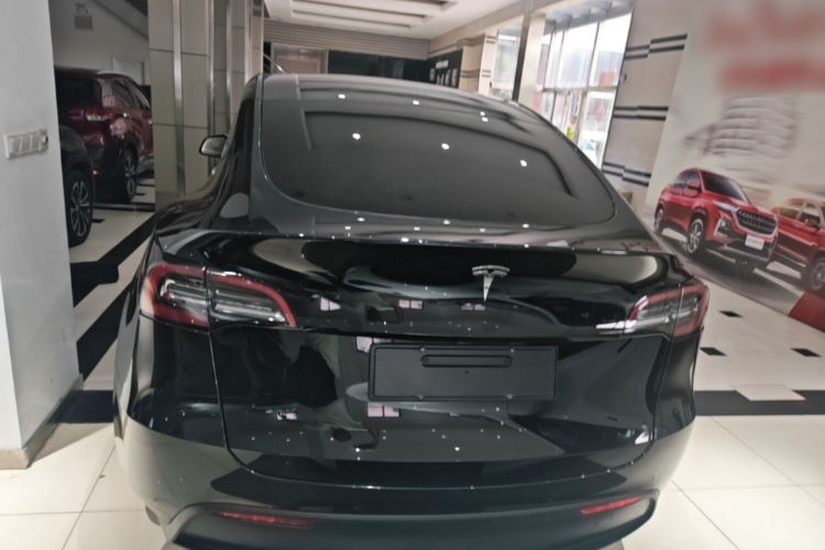 Tesla Model Y 2021 #6 Tesla Model Y 2021 car image #6