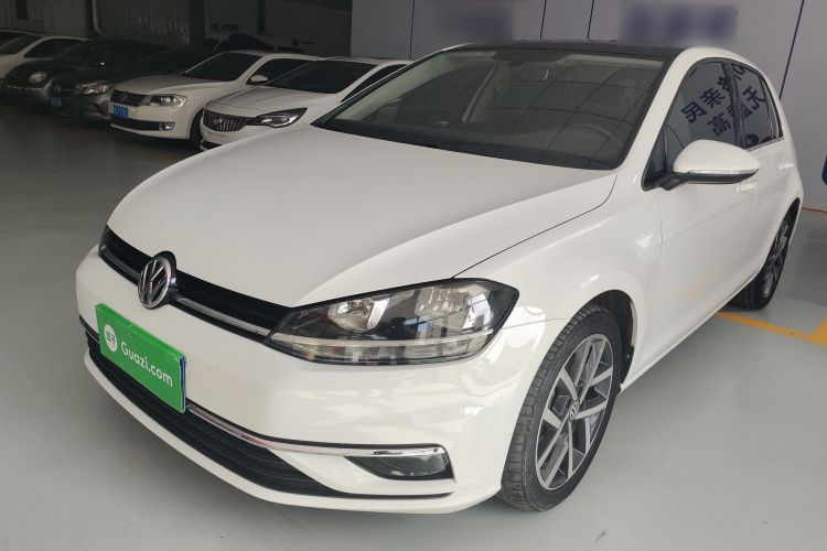 Volkswagen Golf 2019 imagen de coche #2