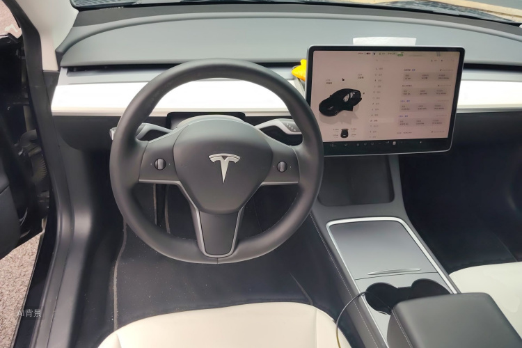 Tesla Model 3 2022 immagine di auto #12