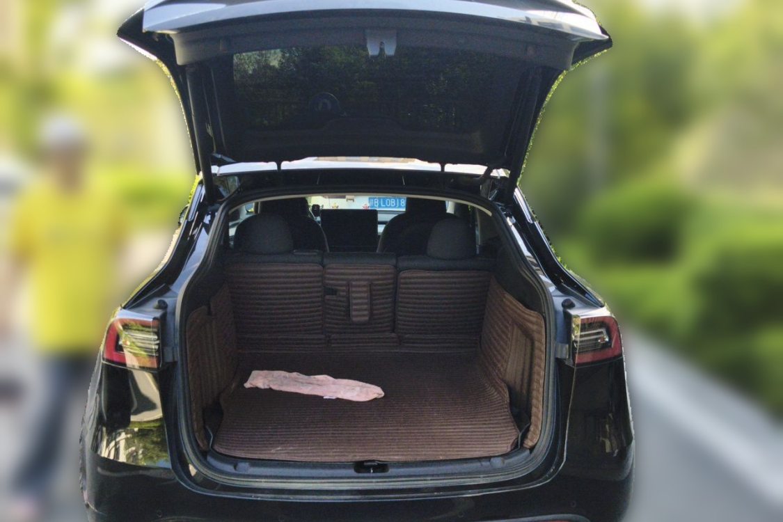 Tesla Model Y 2023 #8 Tesla Model Y 2023 car image #8