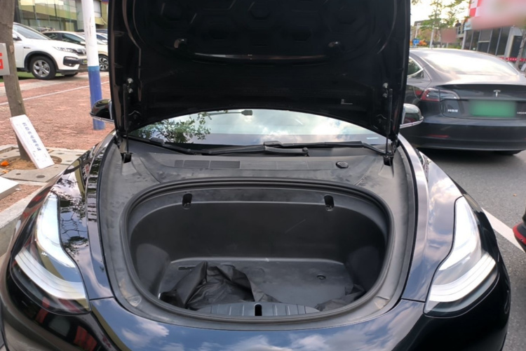 Tesla Model 3 2020 #20 Tesla Model 3 2020 immagine di auto #20