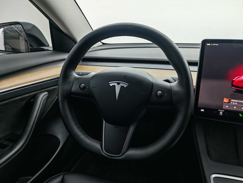 Tesla Model 3 2023 car image #6