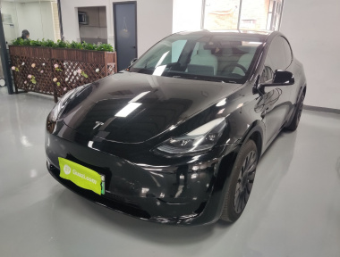 Tesla Model Y 2023 Tesla Model Y 2023 car image
