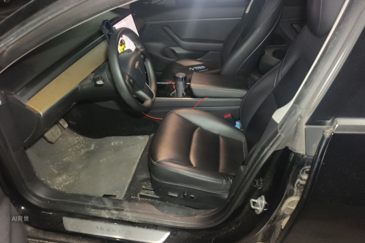 Tesla Model 3 2020 #17 Tesla Model 3 2020 car image #17