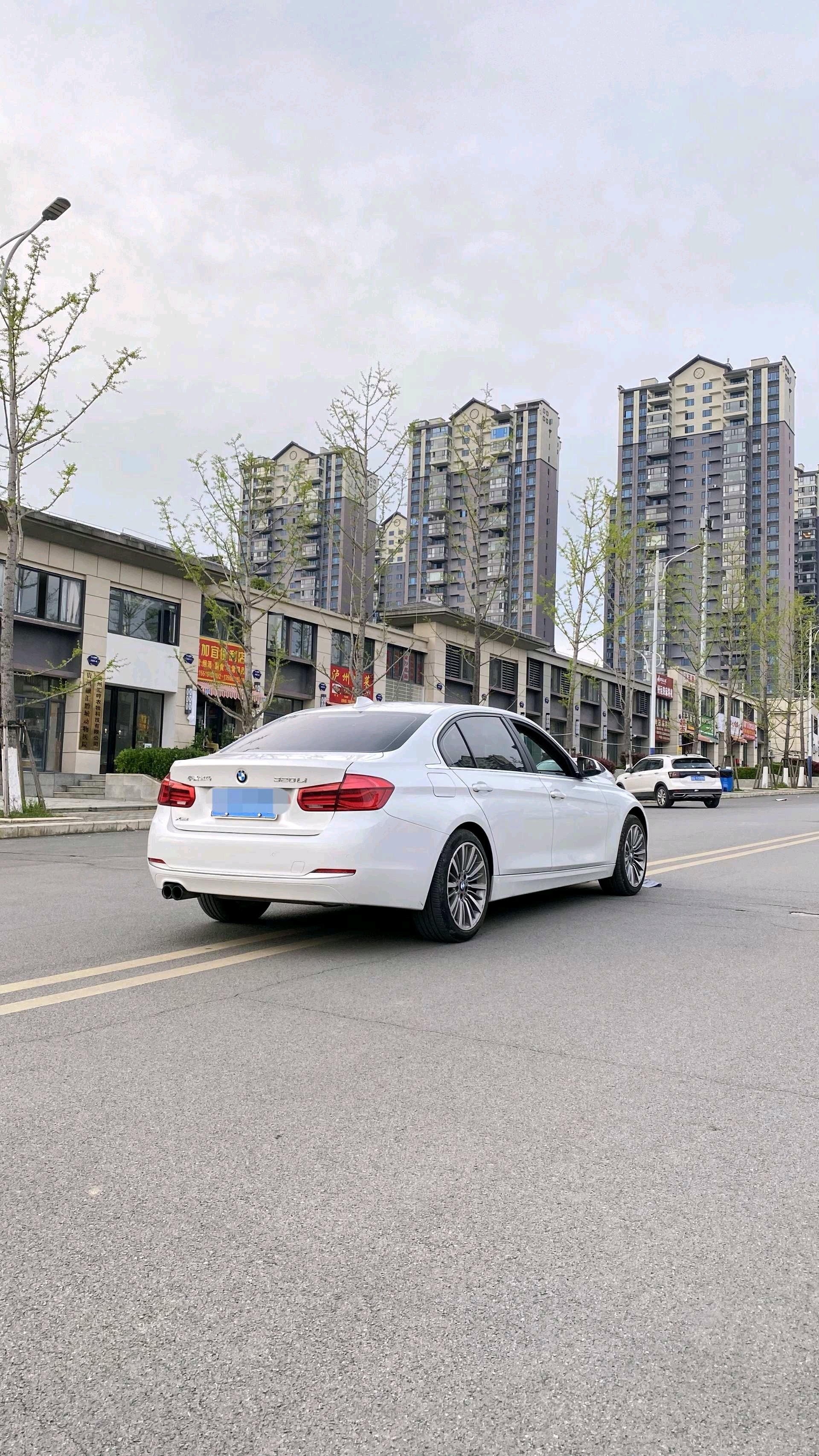 BMW 3 Series 2019 #7 BMW 3 Series 2019 immagine di auto #7