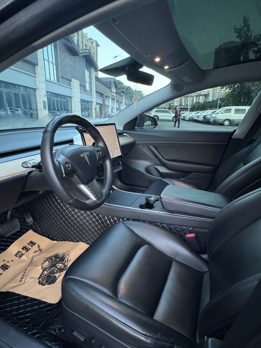 Tesla Model 3 2020 #7 Tesla Model 3 2020 car image #7