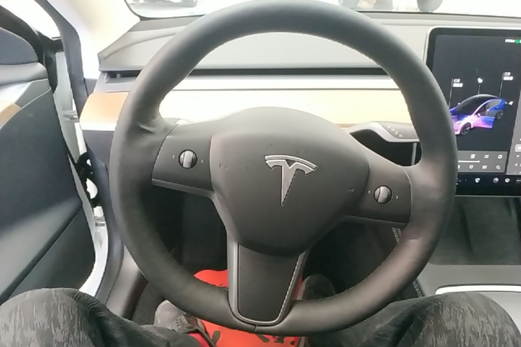Tesla Model 3 2021 #11 Tesla Model 3 2021 car image #11