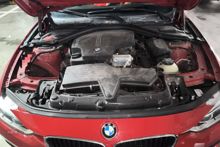 BMW 3 Series 2016 car image #22