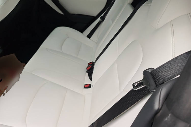 Tesla Model 3 2020 car image #17
