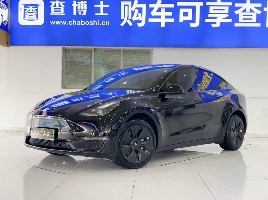 Tesla Model Y 2021 Tesla Model Y 2021 car image