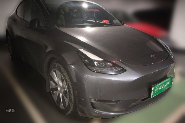 Tesla Model Y 2021 immagine di auto #4