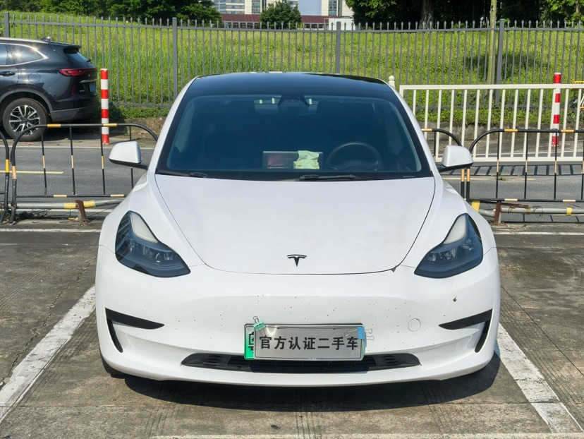 Tesla Model 3 2021 car image #2