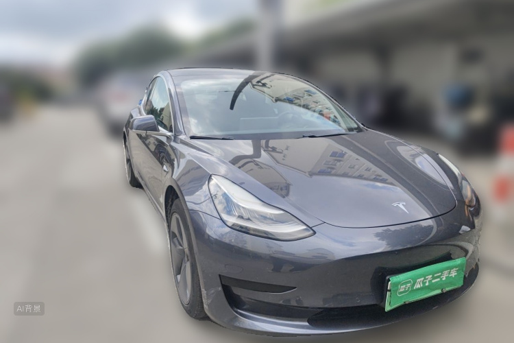 Tesla Model 3 2020 car image #4