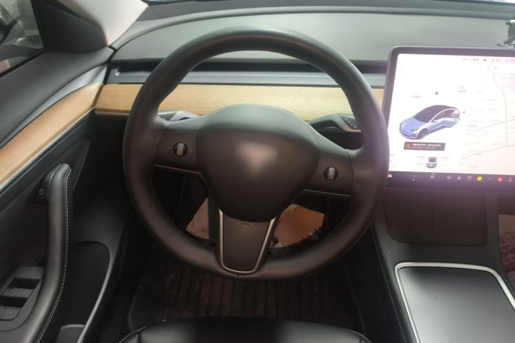 Tesla Model 3 2021 car image #11