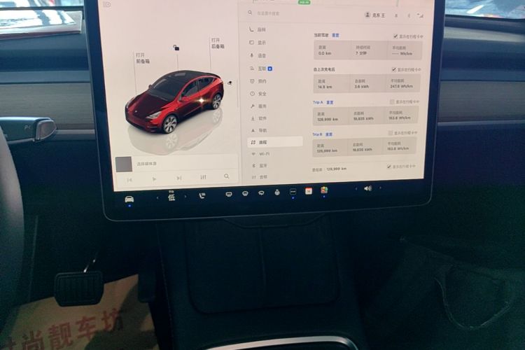 Tesla Model Y 2022 car image #13