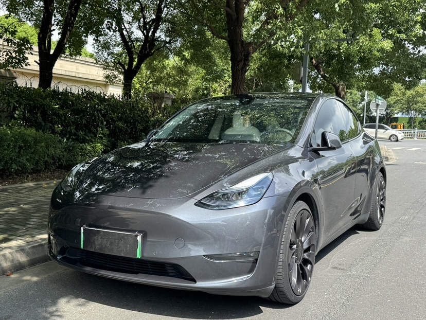 Tesla Model Y 2023 car image 