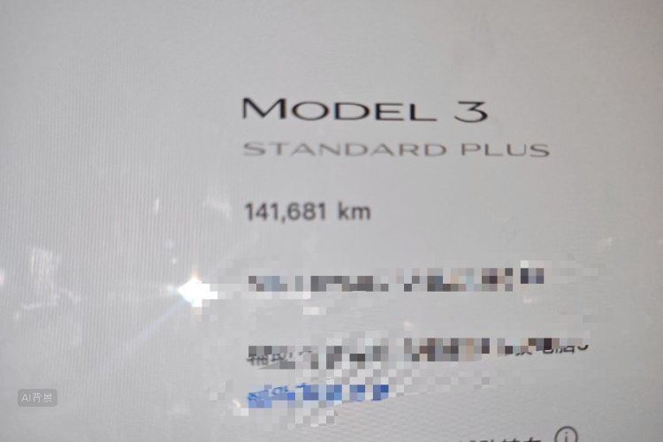 Tesla Model 3 2020 immagine di auto #14