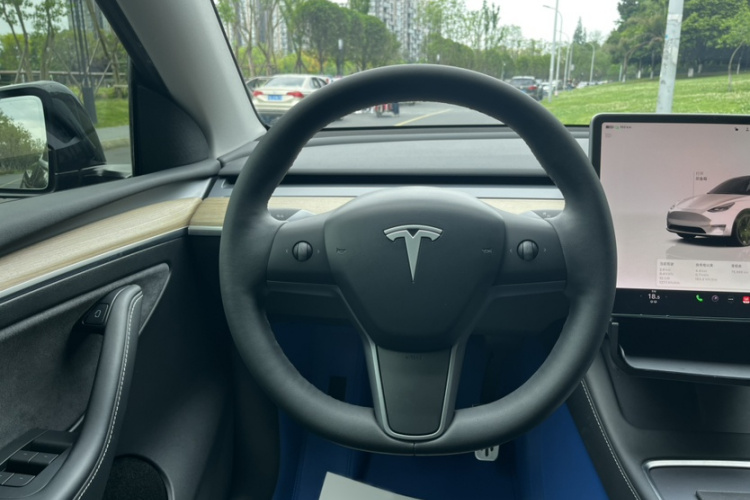 Tesla Model Y 2022 car image #16
