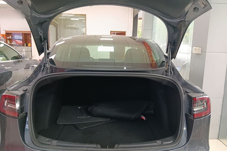 Tesla Model 3 2020 car image #19