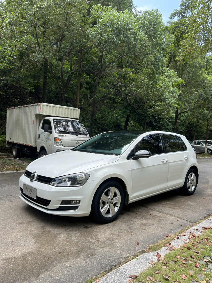 Volkswagen Golf 2017 Volkswagen Golf 2017 car image